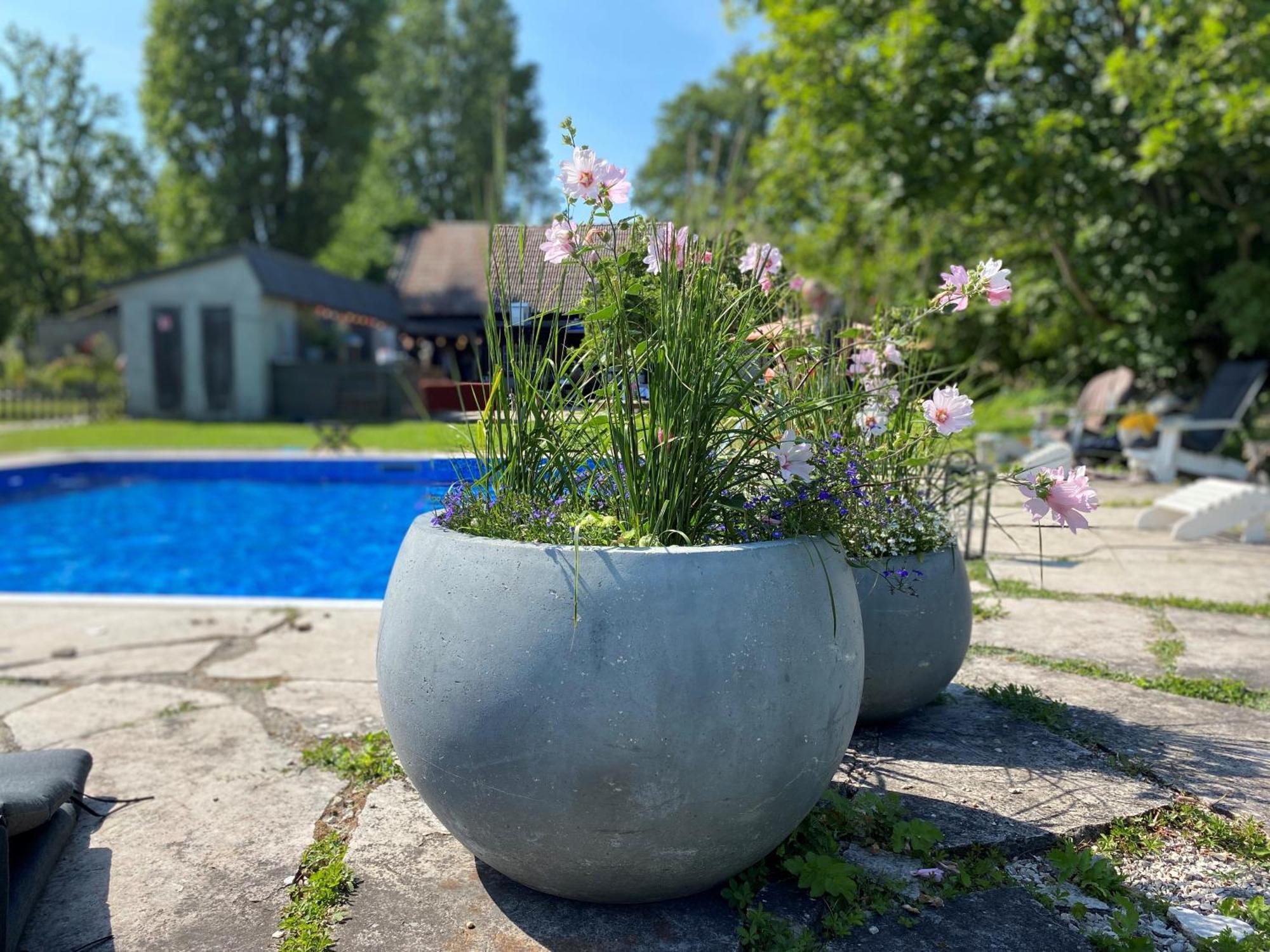 Hotel Gra Gasen Burgsvik Zewnętrze zdjęcie
